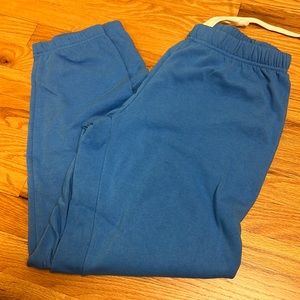 KATIE J NYC blue sweats